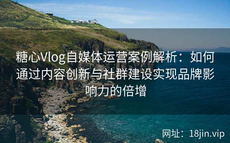 糖心Vlog自媒体运营案例解析：如何通过内容创新与社群建设实现品牌影响力的倍增